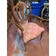 Mesa comedor clasica lupa de nogal + 4 sillas y 2 sillones